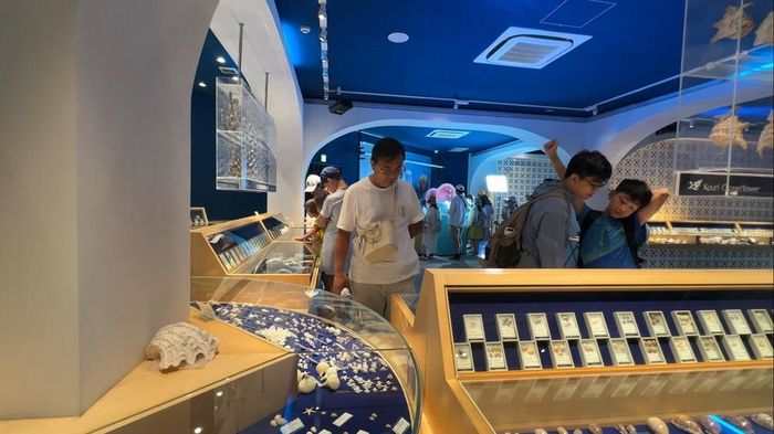 Du khách tham quan bảo tàng vỏ sò và ốc biển