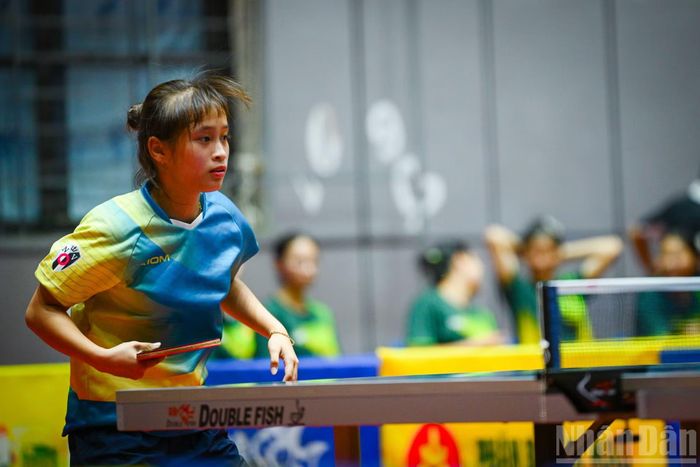 Mới 17 tuổi, Nguyễn Ngọc Kim Ngân là một trong những gương mặt trẻ đáng chú ý của bóng bàn Hải Phòng. Tay vợt sinh năm 2009 đã được tạo điều kiện thi đấu tại nhiều giải lớn và đang từng bước tích lũy kinh nghiệm bên cạnh những đàn chị giàu thành tích.