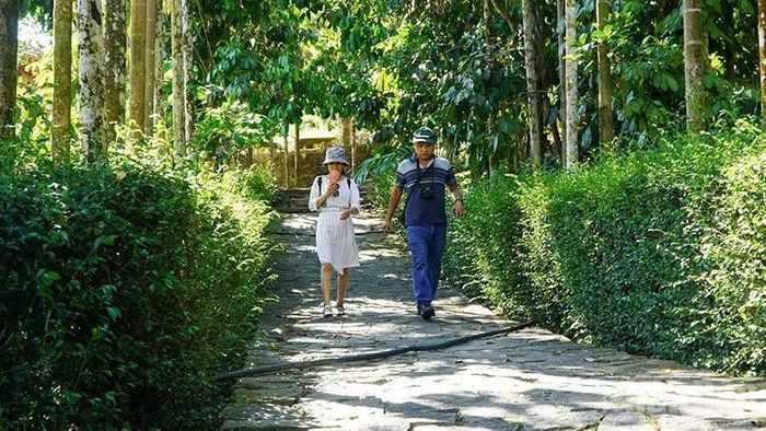 Hội làng Lộc Yên - Thạnh Bình lần thứ V năm 2026 hứa hẹn sẽ thu hút du khách.