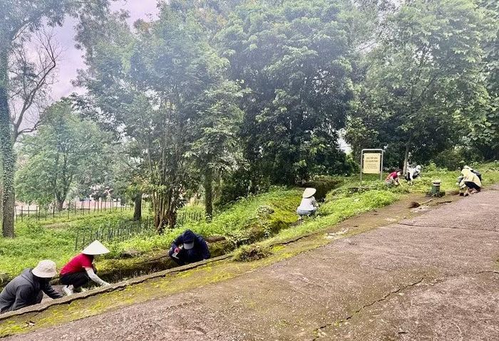Hầu hết mọi người chỉ dùng tay nhổ cỏ như để không "động" đến các chiến sĩ đang "yên giấc ngủ ngàn thu" ở nơi này.