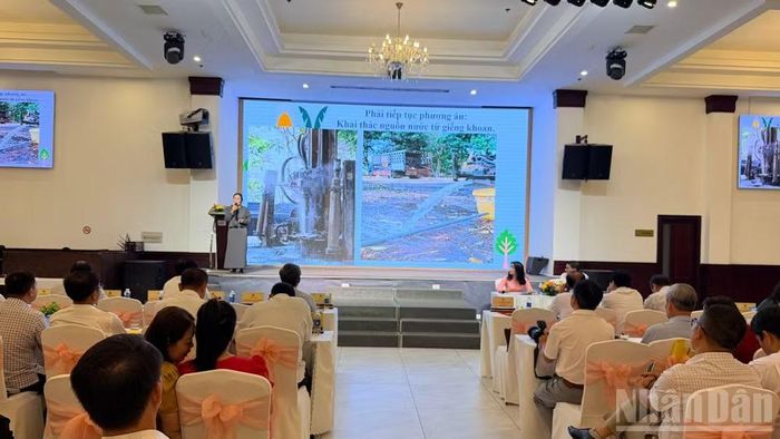 Các trường tham gia đóng góp ý kiến phát triển giáo dục.