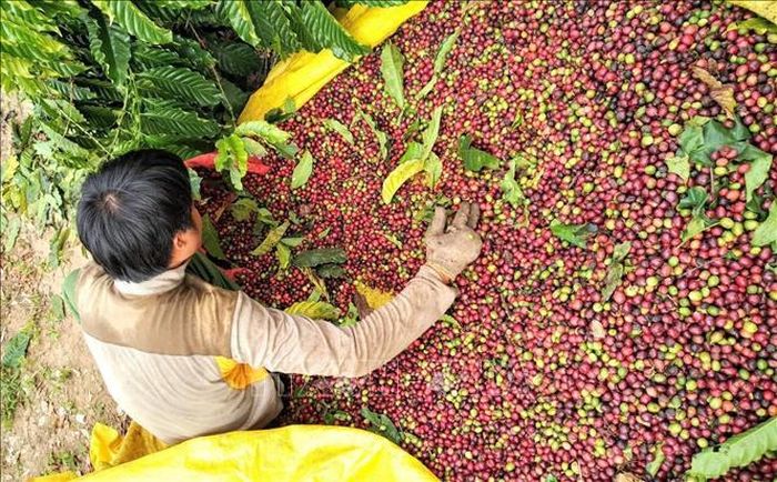 Ảnh minh họa: Báo Tin tức