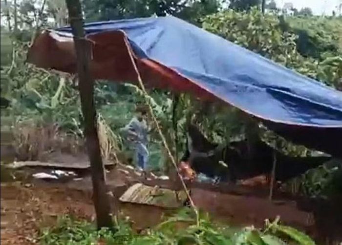 Nơi phát hiện thi thể nạn nhân.