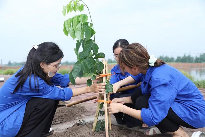 Đại biểu, đoàn viên thanh niên trồng cây trong chương trình.
