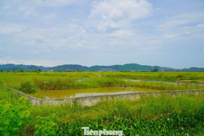 Người dân thôn Nam Sơn khốn khổ tìm nguồn nước sạch.