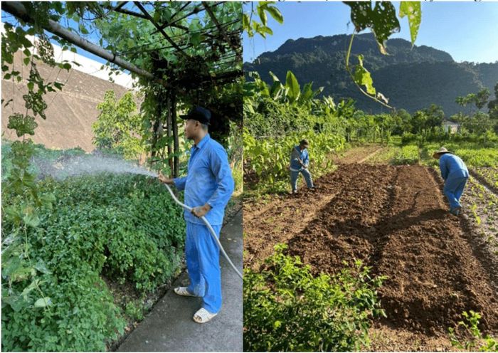 Trao nghề để người cai nghiện tự tin trở về với cuộc sống hàng ngày.