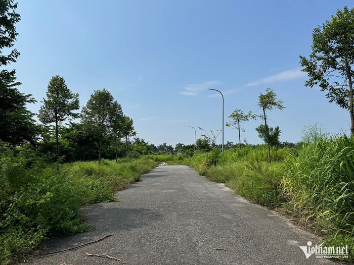 Dự án bỏ hoang, cỏ mọc um tùm.