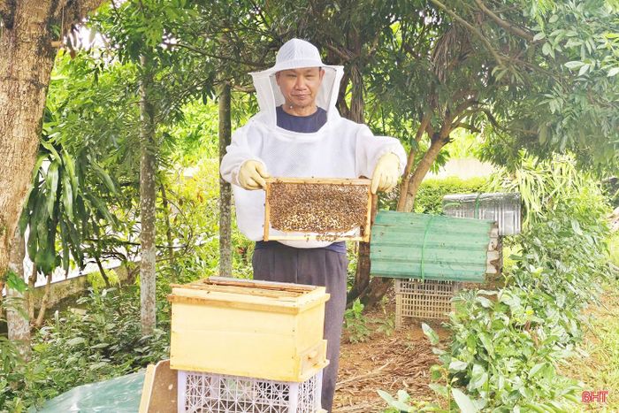 Ông Nguyễn Xuân Bính đang chuẩn bị quay lứa mật thứ tư trong năm nay.