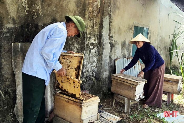 Nuôi ong đã góp phần nâng cao thu nhập cho nhiều hộ dân trên địa bàn xã Kỳ Xuân.