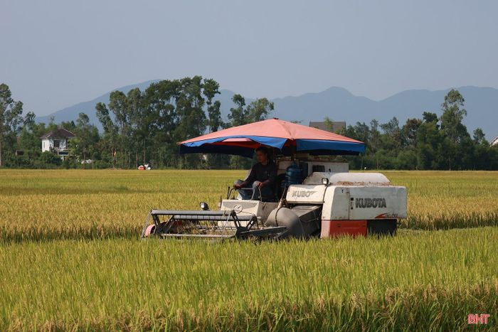 Vụ hè thu năm nay, Hà Tĩnh gieo cấy hơn 45.500 ha lúa. Đến thời điểm này, lúa hè thu tại các xã Đức Thọ, Đức Minh, Đức Thịnh, Trường Lưu, Gia Hanh, Can Lộc... đã bắt đầu được thu hoạch. Trước nguy cơ mưa bão thường xuất hiện vào cuối vụ, ngành chuyên môn và các địa phương khuyến cáo người dân thu hoạch ngay khi lúa đạt độ chín phù hợp, hạn chế thấp nhất thiệt hại do thiên tai. Theo đánh giá bước đầu, năng suất bình quân vụ hè thu năm 2026 đạt khoảng 45 tạ/ha, cao hơn 17 tạ/ha so với cùng kỳ năm 2025 (do năm 2025, ảnh hưởng của mưa bão nên năng suất sụt giảm nghiêm trọng).