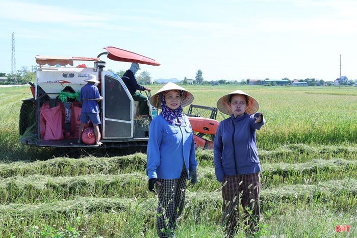  Bà Hoàng Thị Kim Dũng (người bên phải) - Trưởng thôn Hạ Long, xã Đức Thọ cho biết: “Vụ hè thu năm ngoái, lúa chín đúng vào đợt mưa lớn nên nhiều diện tích không kịp thu hoạch, ảnh hưởng đến năng suất, sản lượng. Năm nay, bà con xuống giống sớm hơn. Hiện, toàn thôn đã thu hoạch được hơn 80% diện tích. Điều đáng mừng là năng suất khá, giá bán lúa khô hiện cao hơn khoảng 10% so với cùng kỳ năm 2025. Với bà con vùng thấp trũng, lúa thu hoạch và đưa được về nhà an toàn mới thực sự yên tâm”. 