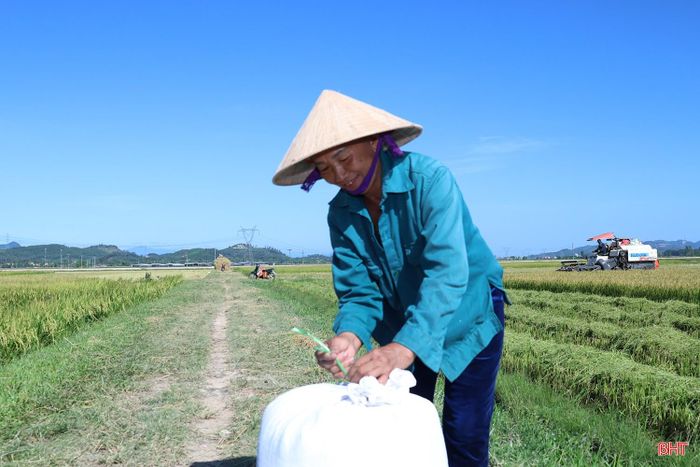 Người dân thôn Hạ Long phấn khởi đưa lúa về nhà.