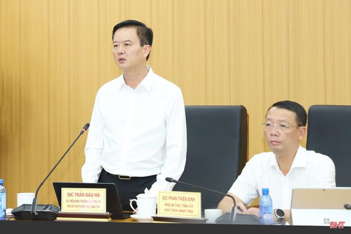 Phó Chủ tịch Thường trực UBND tỉnh Trần Báu Hà phát biểu tại cuộc họp.