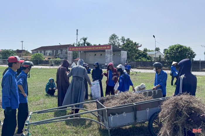 Các đội hình thanh niên ra quân vệ sinh môi trường nông thôn, môi trường biển; thu gom, phân loại, xử lý rác thải; chăm sóc cây xanh; xây dựng 15 vườn ươm thanh niên; chỉnh trang 70 vườn mẫu, khu dân cư kiểu mẫu; cải tạo 68 vườn tạp; chăm sóc, cắt tỉa 17 km hàng rào xanh.