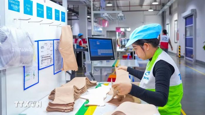 Hoạt động sản xuất tại doanh nghiệp ứng dụng công nghệ cao trên địa bàn tỉnh Tây Ninh. (Ảnh: Minh Phú/TTXVN)