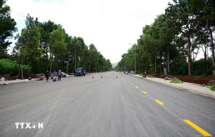 Đường dẫn từ quốc lộ 20 vào nhà ga hành khách Sân bay Liên Khương cũng được làm mới toàn bộ, chỉnh trang cây xanh nhằm tạo ấn tượng cho du khách và người dân. (Ảnh: Nguyễn Dũng/TTXVN)