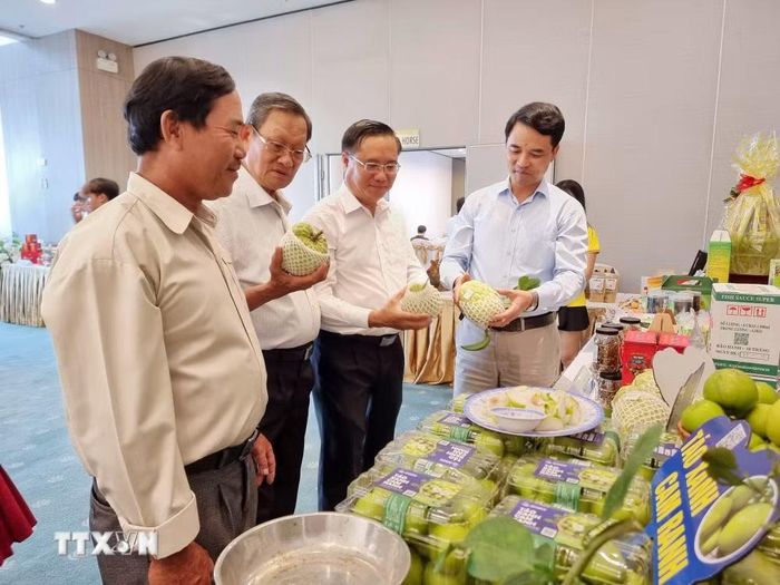 Sản phẩm OCOP, sản phẩm đặc thù của các hợp tác xã được được giới thiệu tại một sự kiện do Liên minh Hợp tác xã tỉnh Khánh Hòa tổ chức. (Ảnh: Nguyễn Thành/TTXVN)