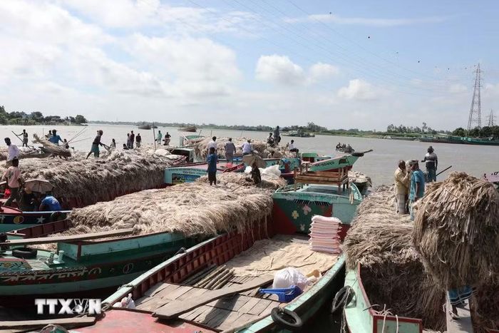 Người dân mua bán đay tại chợ nổi ở Munshiganj, Bangladesh, ngày 14/8/2026. (Ảnh: THX/TTXVN phát)