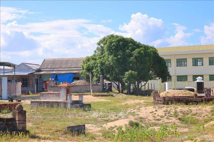 Trường Tiểu học Tịnh Khê, phân hiệu Cổ Lũy chỉ cách nghĩa địa 50m.