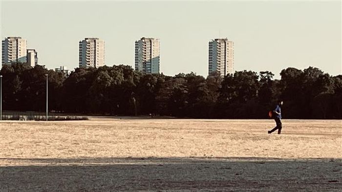Một người băng qua khoảng cỏ đã ngả màu rơm vì nắng nóng ở London, Anh. Ảnh: Hương Giang - PV TTXVN tại Anh