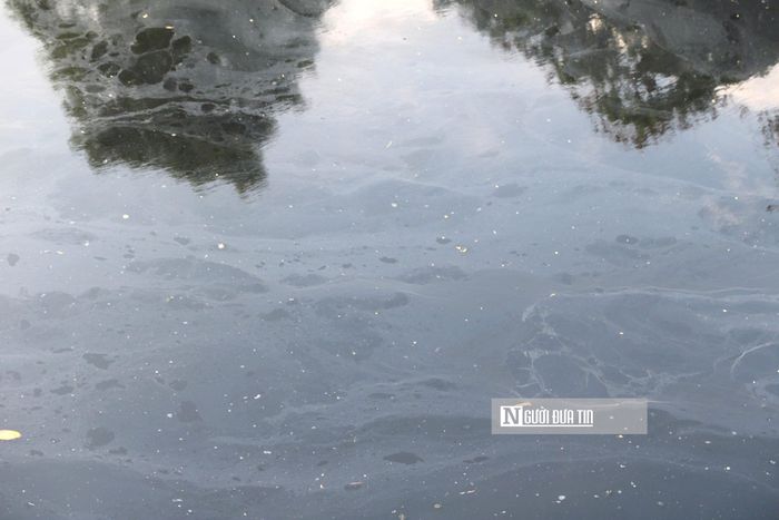 Theo ghi nhận của Người Đưa Tin, dưới cái nắng gắt, mặt nước kênh đổi sang một màu đen kịt, quánh đặc và nổi váng mỡ bẩn thỉu. Kinh hoàng nhất là mùi hôi thối nồng nặc, xộc thẳng vào mũi bất kể ngày đêm.