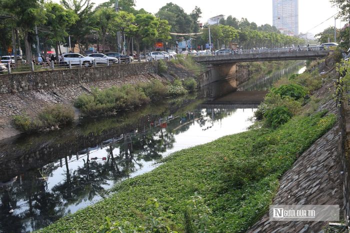 Mới đây, Sở Xây dựng tỉnh Nghệ An tổ chức lấy ý kiến về Đồ án điều chỉnh cục bộ quy hoạch chung thành phố Vinh cũ. Điểm nhấn trọng tâm là đề xuất mở rộng toàn tuyến đường Nguyễn Sỹ Sách lên 60m với 10 làn xe chính, đồng thời ngầm hóa toàn bộ tuyến Kênh Bắc để "xoá điểm đen" về ô nhiễm.