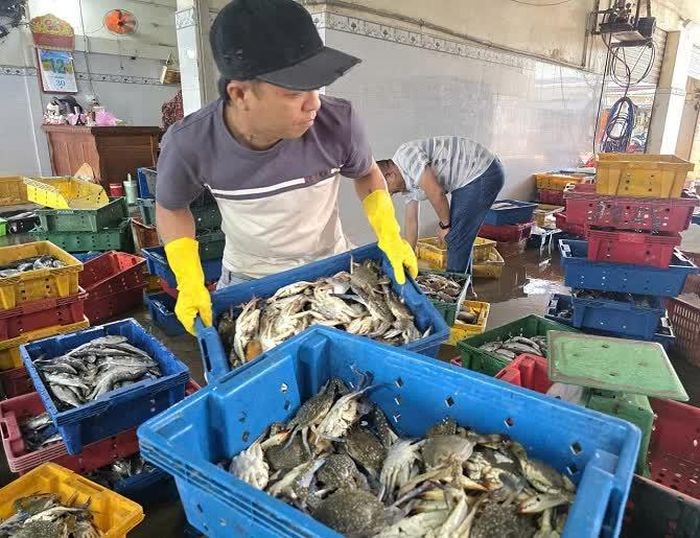 Mỗi người một việc, tất cả vì cuộc sống mưu sinh.