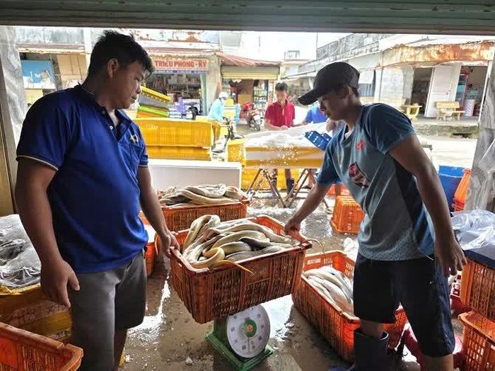 Trúng mùa biển từ ngư dân đến chủ vựa và cả người lao động tại bến cảng đều có chung niềm vui.