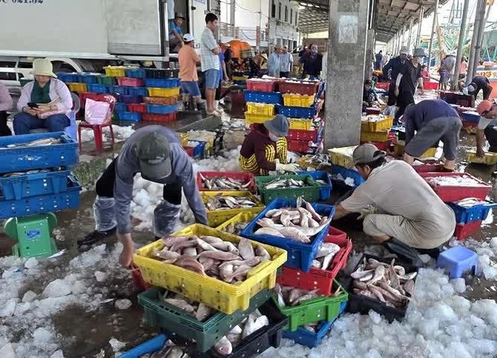 Không khí làm việc nhộn nhịp tại cảng Gành Hào.