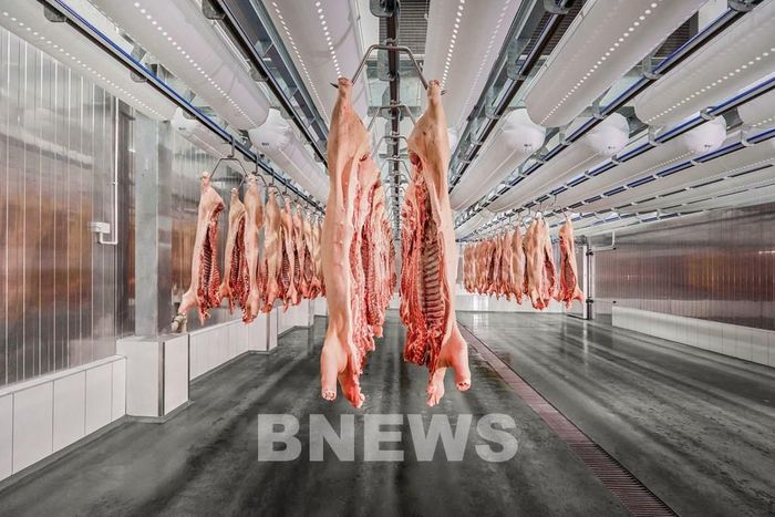 Bên trong nhà máy chế biến thịt mát của Masan MEATLife. Ảnh: BNEWS