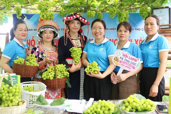 Hội LHPN xã Thu Cúc, tỉnh Phú Thọ đồng hành cùng hội viên phụ nữ khai thác công nghệ để học tập, khởi nghiệp, phát triển kinh tế, quảng bá sản phẩm, bán hàng trên nền tảng số