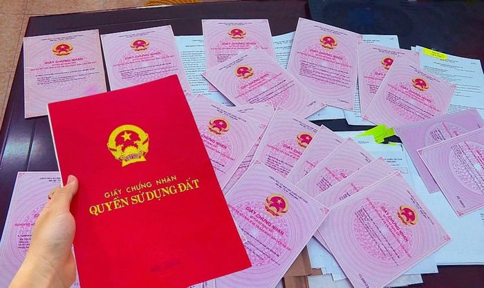Có người cho rằng điểm mấu chốt nhà bạn cần làm là xem lại từ đoạn thời gian thêm tên 6 người nhà bác cả vào sổ đất