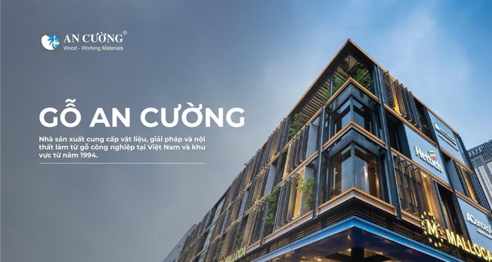 Năm 2025, Gỗ An Cường đóng góp khoảng 385 tỷ đồng vào ngân sách nhà nước. Ảnh: Gỗ An Cường.