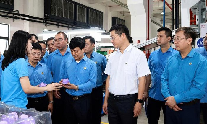  Các đại biểu tham quan khu vực nhà máy sản xuất của Công ty Cayi Technology Việt Nam. 