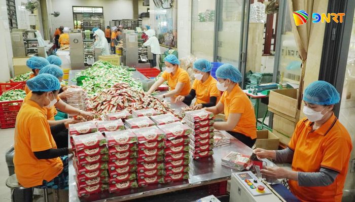 Bánh dừa nướng Quý Thu (xã Xuân Phú) là sản phẩm OCOP 5 sao xuất khẩu sang nhiều nước trong khu vực châu Á. Ảnh: Q.T