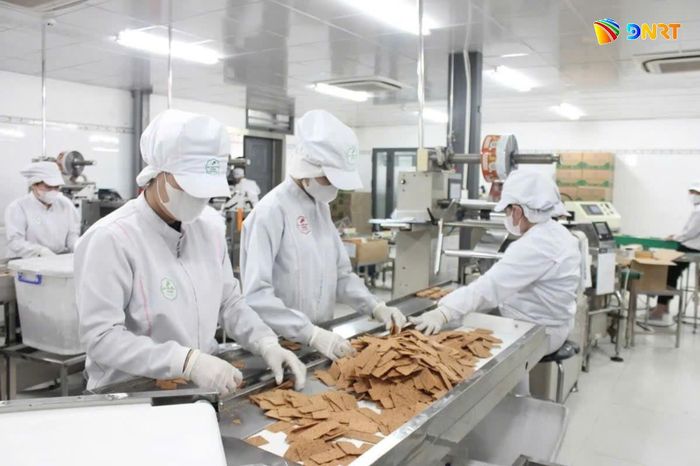 Bánh dừa nướng của Công ty TNHH Mỹ Phương Food (phường Hòa Khánh) đã có mặt ở thị trường nước Úc. TRONG ẢNH: Sản xuất bánh dừa nướng của Công ty TNHH Mỹ Phương Food. Ảnh: ĐVCC