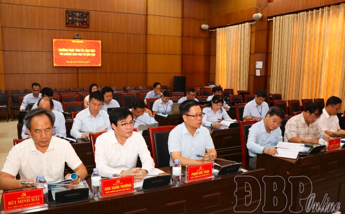 Đại biểu dự buổi làm việc.