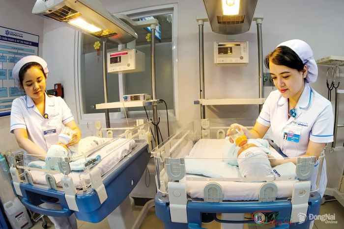 Chăm sóc. Ảnh: Trịnh Lê Hoài (chụp tại phường Trấn Biên)