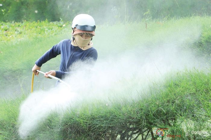 Tưới cây. Ảnh:  Phạm thiên Long (chụp tại phường Xuân Lộc)