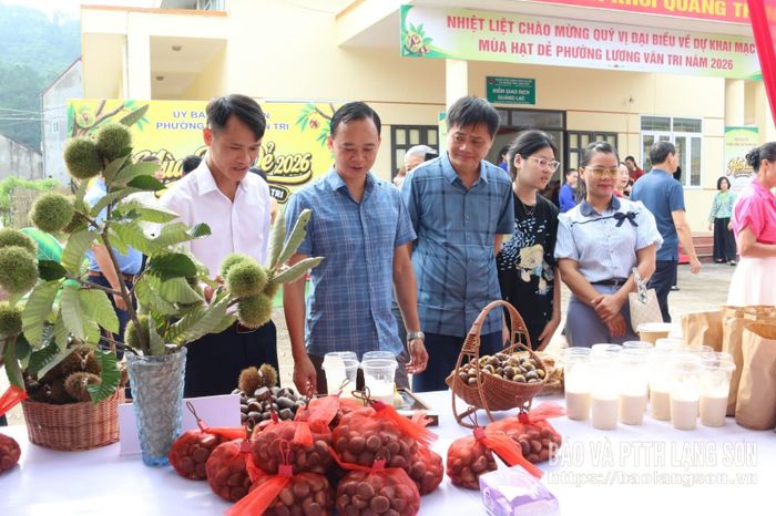 Các đại biểu tham quan gian hàng trưng bày sản phẩm