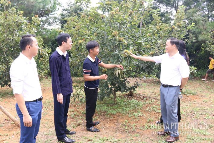 Các đại biểu tham quan vườn dẻ