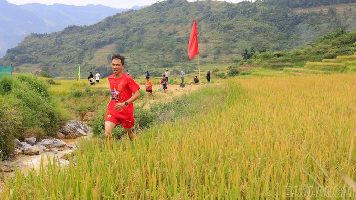 Các vận động viên tham gia nội dung chạy giữa cánh đồng lúa chín.