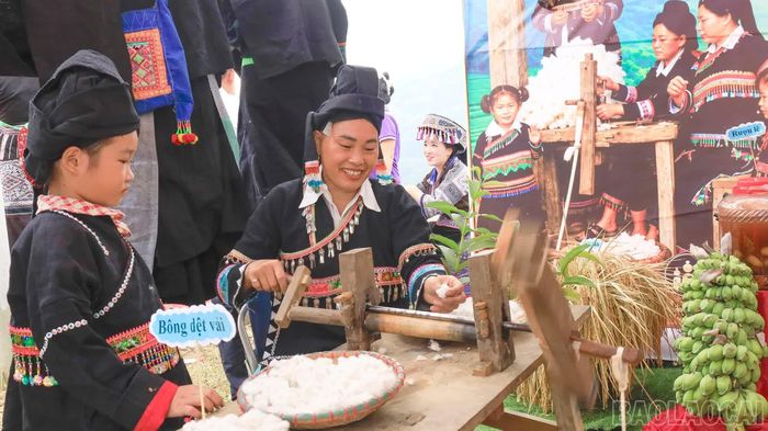 Trồng bông, tách bông, dệt vải là một nét văn hóa đặc sắc được phụ nữ Thu Lao gìn giữ.