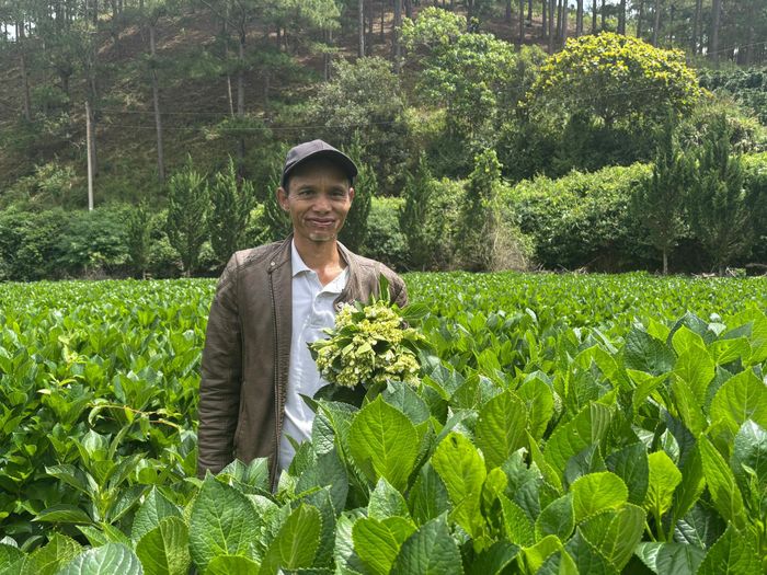Nông dân giỏi Liêng Jrang Ha Kim