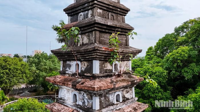 Những họa tiết kiến trúc trên tháp mang dấu ấn nghệ thuật thời Trần.