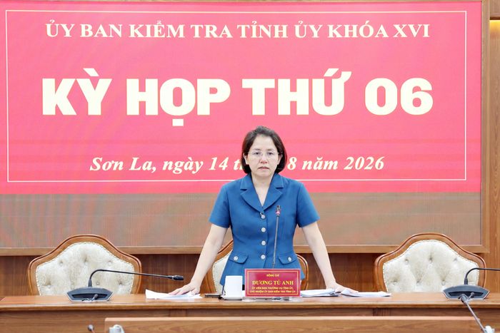 Đồng chí Dương Tú Anh, Ủy viên Ban Thường vụ Tỉnh ủy, Chủ nhiệm Ủy ban Kiểm tra Tỉnh ủy, phát biểu tại kỳ họp.