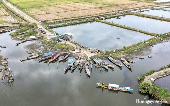 Khai thác du lịch ở xóm Thủy An. 