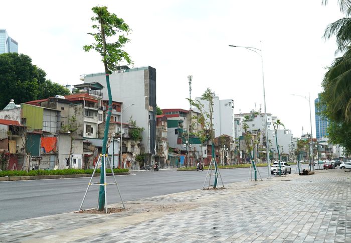 Mặt đường được trải nhựa, sơn vạch, dải phân cách đã trồng hoa, cây xanh, lắp hệ thống đèn chiếu sáng...