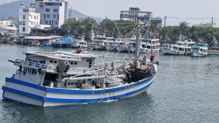 An Giang siết khai thác thủy sản, hướng đến biển xanh và sinh kế bền vững.