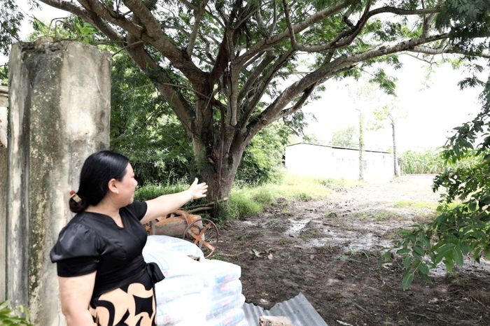 Hiệu trưởng Trường Mẫu giáo Vĩnh Bình Bắc Phan Thị Ngân rất vui khi nhà trường được cấp thêm đất và xây mới 6 phòng học